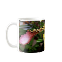 closed up  of Orchid Flower mugs