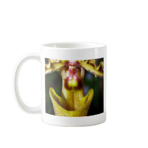 closed up  of Orchid Flower mugs