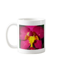 closed up  of Orchid Flower mugs