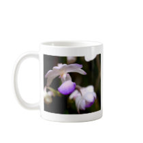 closed up  of Orchid Flower mugs