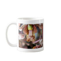 closed up  of Orchid Flower mugs