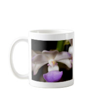 closed up  of Orchid Flower mugs