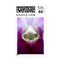 closed up of Orchid Flower postage by naturelife closed up of Orchid Flower postage