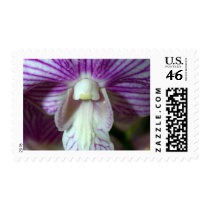 closed up of Orchid Flower postage by naturelife closed up of Orchid Flower postage