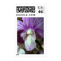 closed up of Orchid Flower postage by naturelife closed up of Orchid Flower postage