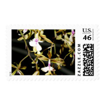 closed up of Orchid Flower postage by naturelife closed up of Orchid Flower postage