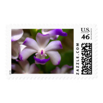 closed up of Orchid Flower postage by naturelife closed up of Orchid Flower postage