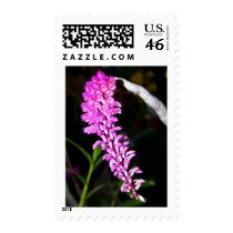 closed up of Orchid Flower postage by naturelife closed up of Orchid Flower postage