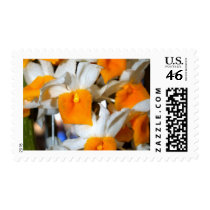 closed up of Orchid Flower postage by naturelife closed up of Orchid Flower postage