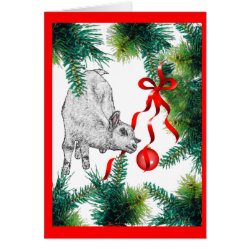 Closer Look Baby Goat Christmas Greeting Card