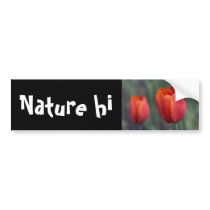 closer still bumper stickers