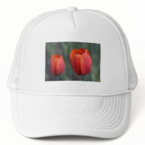 closer still hats