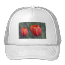 closer still trucker hats