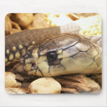 Closeup Cobra Head mousepads by Natures_Whisper Closeup Cobra Head mousepads