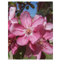 Closeup Crab-Apple Blossoms Personalized Flyer