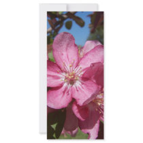 Closeup Crab-Apple Blossoms Customized Rack Card