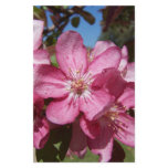 Closeup Crab-Apple Blossoms Personalized Stationery