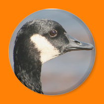 Closeup Goose magnets