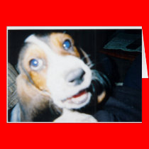 Closeup cards
