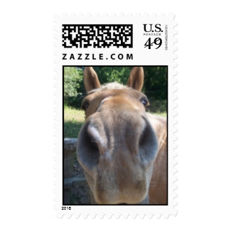 Closeup Horse Postage Stamp