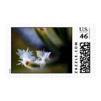 Closeup Ice Crytal postage