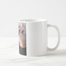 Closeup Kisses Mugs