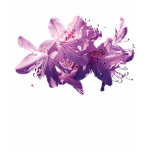 Closeup Light Magenta Azaleas Ladies t-shirts