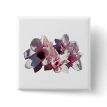 Closeup of Magnolias buttons