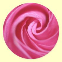 Closeup of pink rose stickers