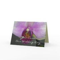 Closeup Orchid cards