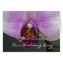 Closeup Orchid cards