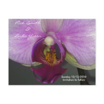 Closeup Orchid Save the Date Postcard
