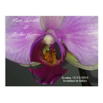 Closeup Orchid Save the Date postcards