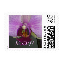 Closeup Orchid Wedding Postage RSVP Stamp stamps