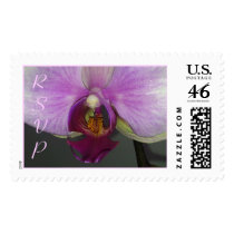 Closeup Orchid Wedding Postage RSVP Stamp stamps