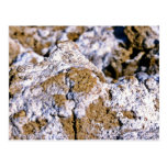 Closeup, Salt Flats Post Cards