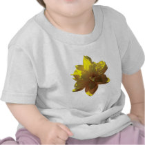 Closeup Yellow Daffodil Infants t-shirts