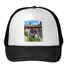 Clothing Hanging on Line Closeup Hats