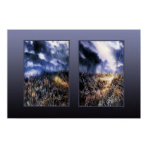 Cloud Cover Into Field Diptych posters