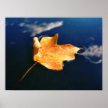 cloud dancer (auto sized) posters