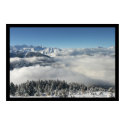 Cloud Forest Christmas posters
