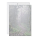 Cloud forest, Mt. Kilimanjaro, Tanzania Custom Announcement