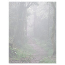 Cloud forest, Mt. Kilimanjaro, Tanzania Customized Letterhead
