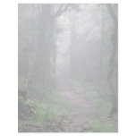 Cloud forest, Mt. Kilimanjaro, Tanzania Customized Letterhead