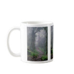 Cloud forest, Mt. Kilimanjaro, Tanzania mugs