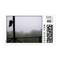 Cloud Forest Postage postage