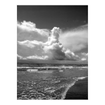 Cloud over Palm Beach posters