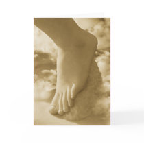 Cloud Step-MW1604 cards