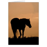 Cloud Walks at Sunset Wild Horse Greeting Card
