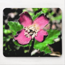Cloudberry mousepads